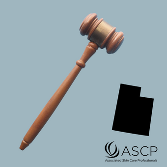 Brown gavel on grey-blue brackground with shape of Utah.