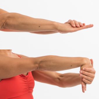 Wrist Flexion
