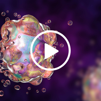 cell in the early stages of programed cell death