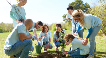 group of volunteers planting trees